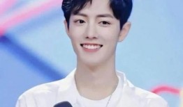 肖战最新爆料事件,揭秘背后真相与影响