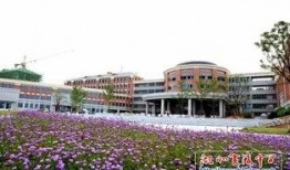 缙云校区爆料事件最新,真相与反思