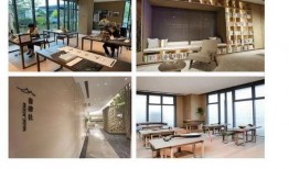 蛇姐最新爆料网址视频,最新爆料网址视频大揭秘！